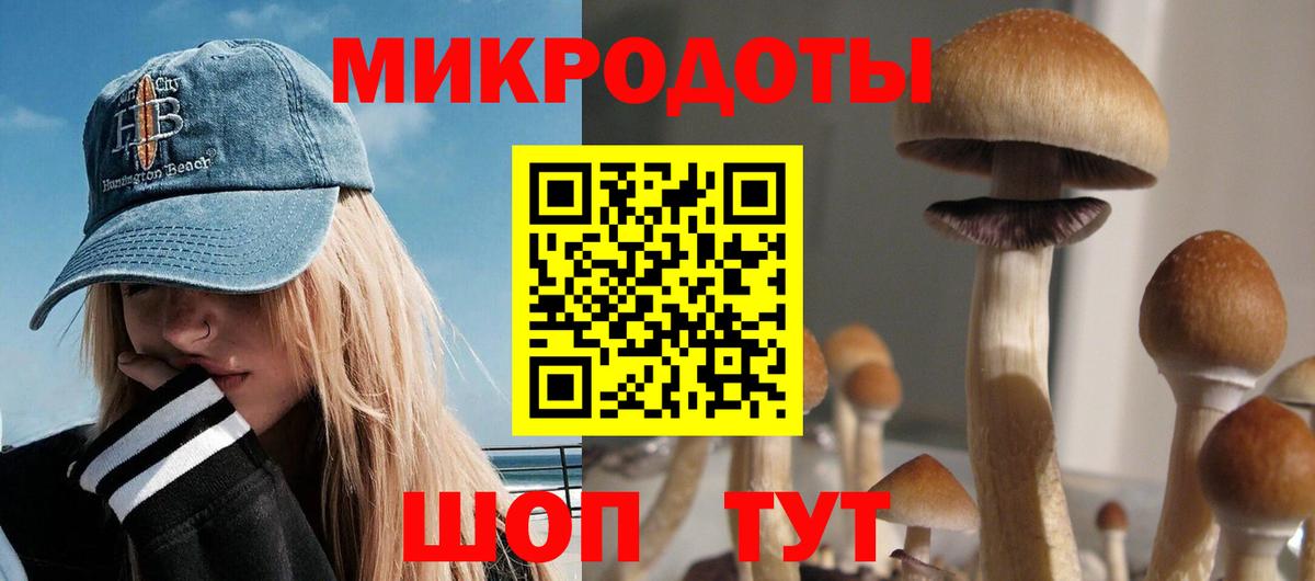 Стрежевой  Псилоцибиновые грибы прущие грибы  Вход с VPN 