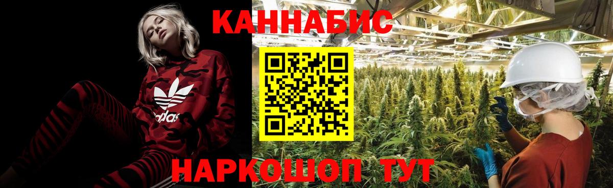 Марихуана SATIVA & INDICA  Вход с VPN  Шишки марихуана планчик  Марихуана план  Стрежевой  Конопля Amnesia 